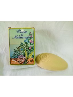 Plantas de Mediterraneo -...